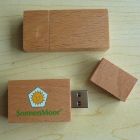Holzklammern USB Stick mit eigenem Logo als Werbeartike...