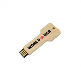 USB Stick Schlüssel 4gb 8gb 16gb 32gb 64gb 128gb mit Lo...