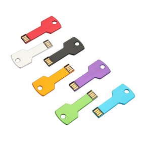 USB Stick Schlüssel 4gb 8gb 16gb 32gb 64gb 128gb mit Lo...