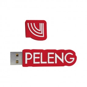 Individuelle USB Sticks 4gb 8gb 16gb 32gb 64gb mit Ihre...